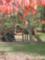 Glenn Hilton Park