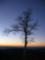 Sunrise on the Blue Ridge Parkway