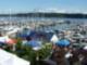 Bremerton Boardwalk :: Annual BlackBerry Festival