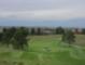 Golfing in The Pinery