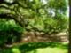 Brookgreen Gardens