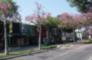 Shops Along Harbor Blvd.