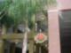 West End Tampa