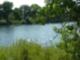 Ponds of South Platte Park - Colorado Outdoor Living near the City at its finest
