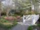 Azalea Park