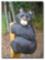 Eddie Hoots Chainsaw Bears