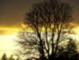 Winter sunset
