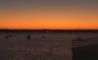 Port Washington Harbor sunset