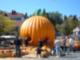 Pumpkin Patch in The Village