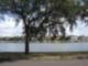 Davis Islands