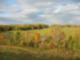 View of Fall in Goodview Landscape