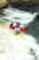 Kayakers at the Yampa River "C" Hole 