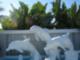 Saint Pete Beach