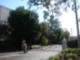 Hawthrorne Point Condominium