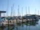 Downtown St Pete