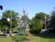 Photo_cf3602c1c3d6297e8642cd2e7f0e3bb33a49222206a53c607a992f9114d70990_thumb