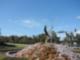 Fishhawk Ranch