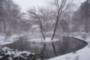 Baxter Pond