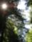 Photo_d16459f4d83285fd1d04dc1f17cb7ae79fa72be0f28ca6bcfb1f5462789b70cb_thumb
