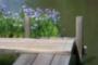 Missouri Botanical Gardens - Tim Tanz, Realtor
