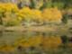 Fall in Colorado
