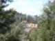 Amy Steele's Crestline