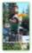 Welcome Bear at Lake Arrowhead Village