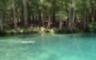 Manatee Springs State Park
