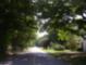 Photo_dc85746891c63ffbe4b0f3ece3c2ec90a38b05bb7013b57b659b05b62becaff2_thumb