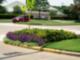 LSU School Colors in Cinco Ranch