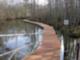 Floating Dock