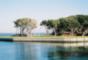 Bogue Sound