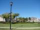 Belmont