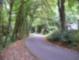 Quiet county road