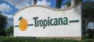 HOME OF TROPICANA
