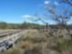 Crabbing Dock