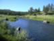 Eleven Mile Canyon