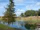 Boyette Oaks