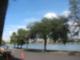 Davis Islands 