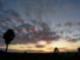 Mar Vista Sunset