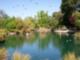 McKinley Park, East Sacramento
