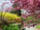 Springtime in downtown Brevard