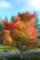 Another season upon us