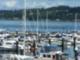Bremerton Boating