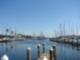Downtown St Pete