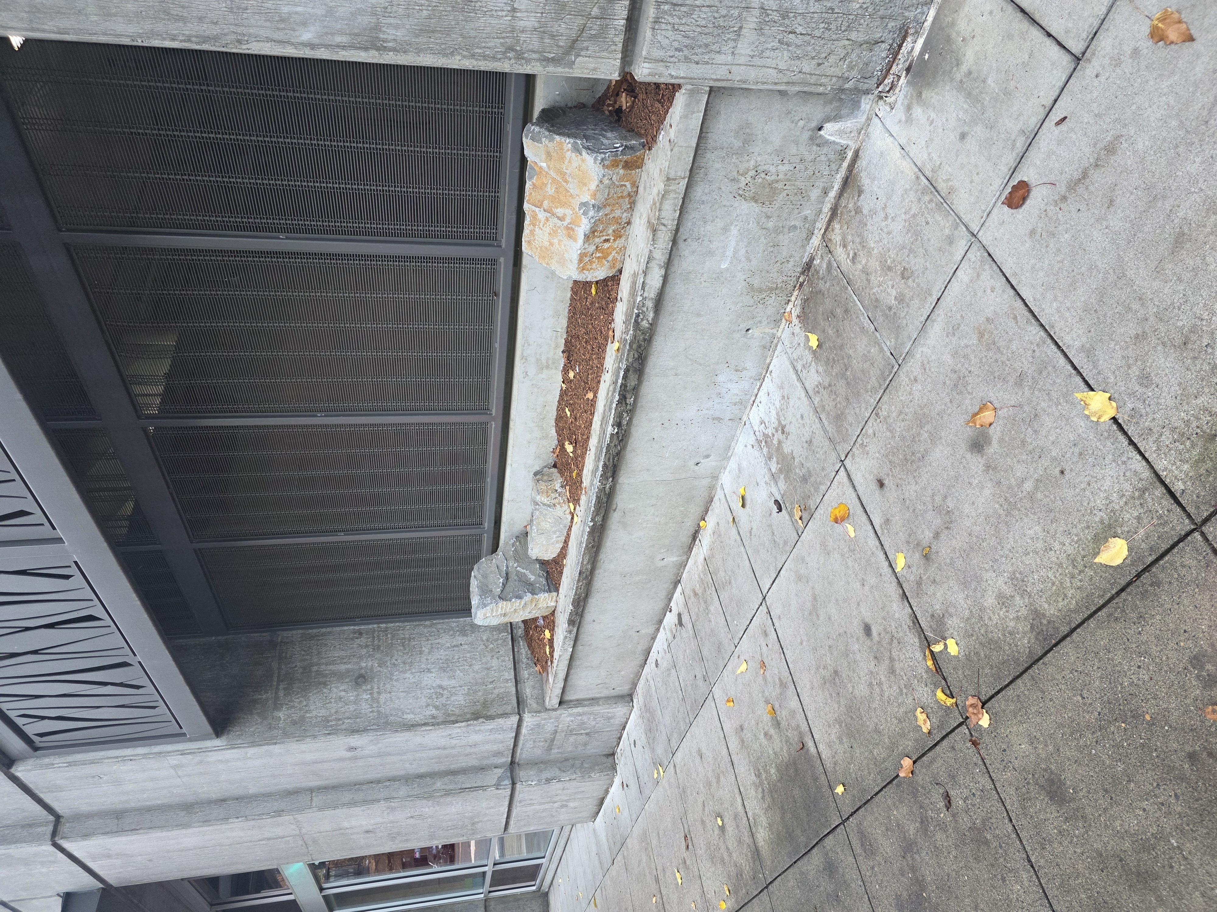 Burrito bar or bust image