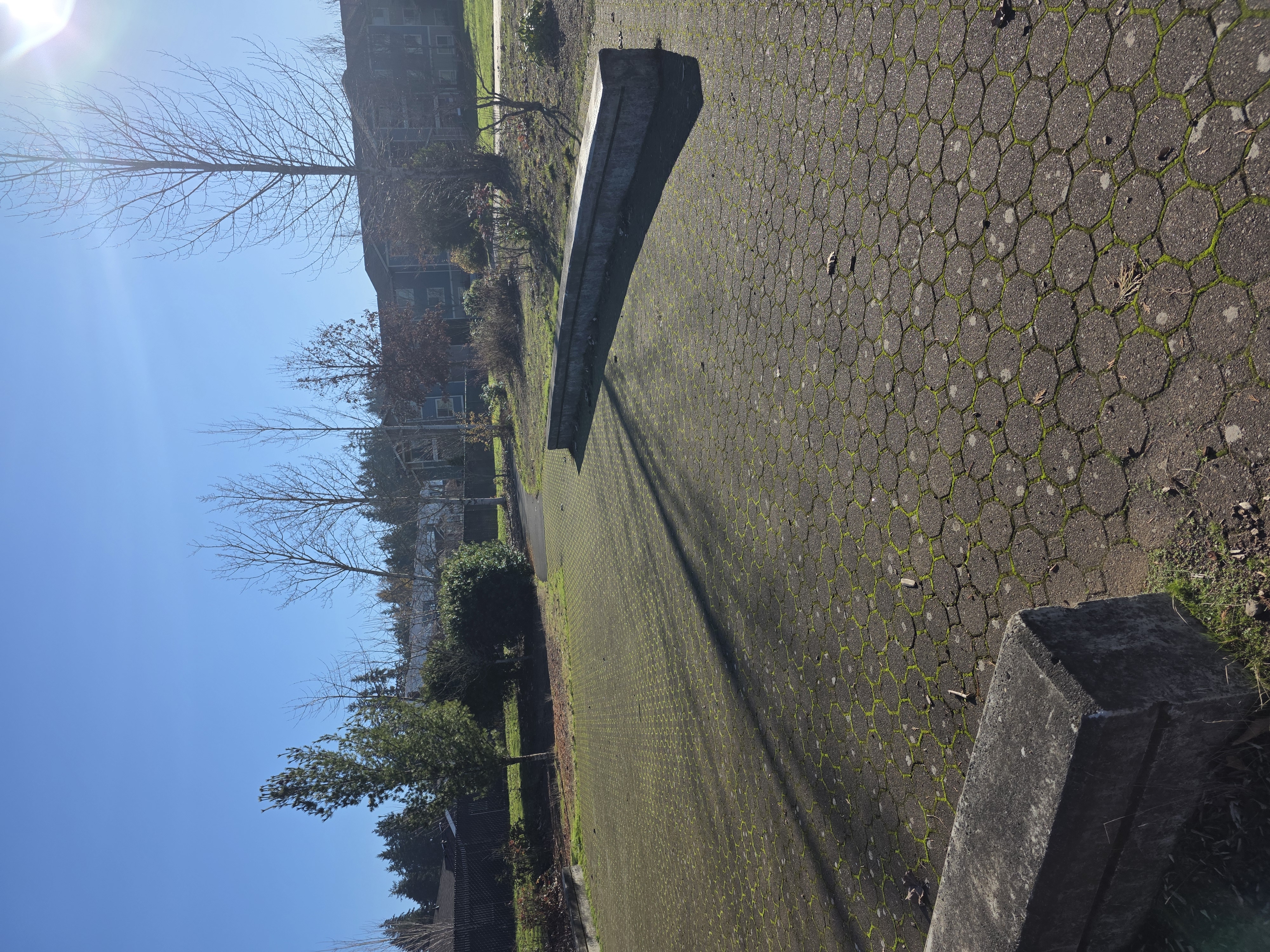 Endeavor w.i.p image