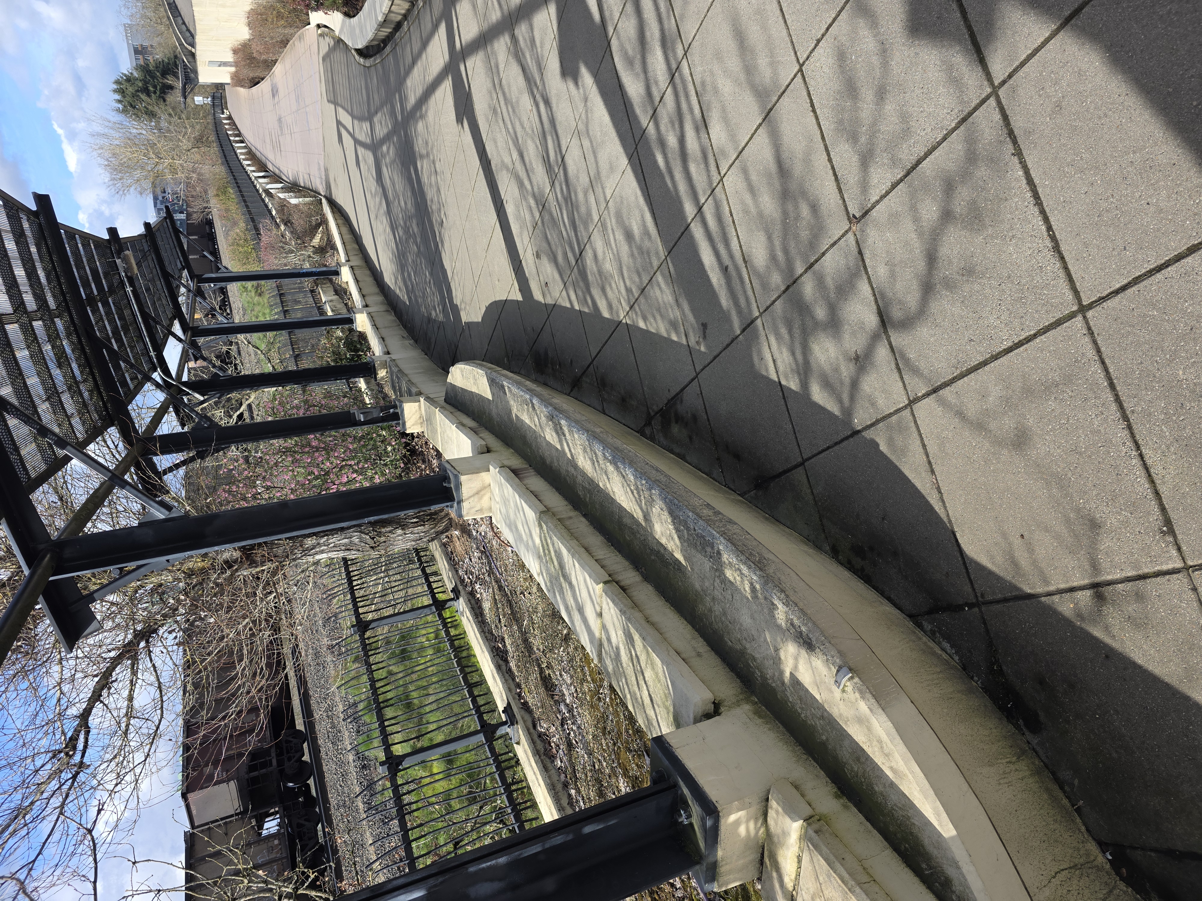 Applee tree ledge image