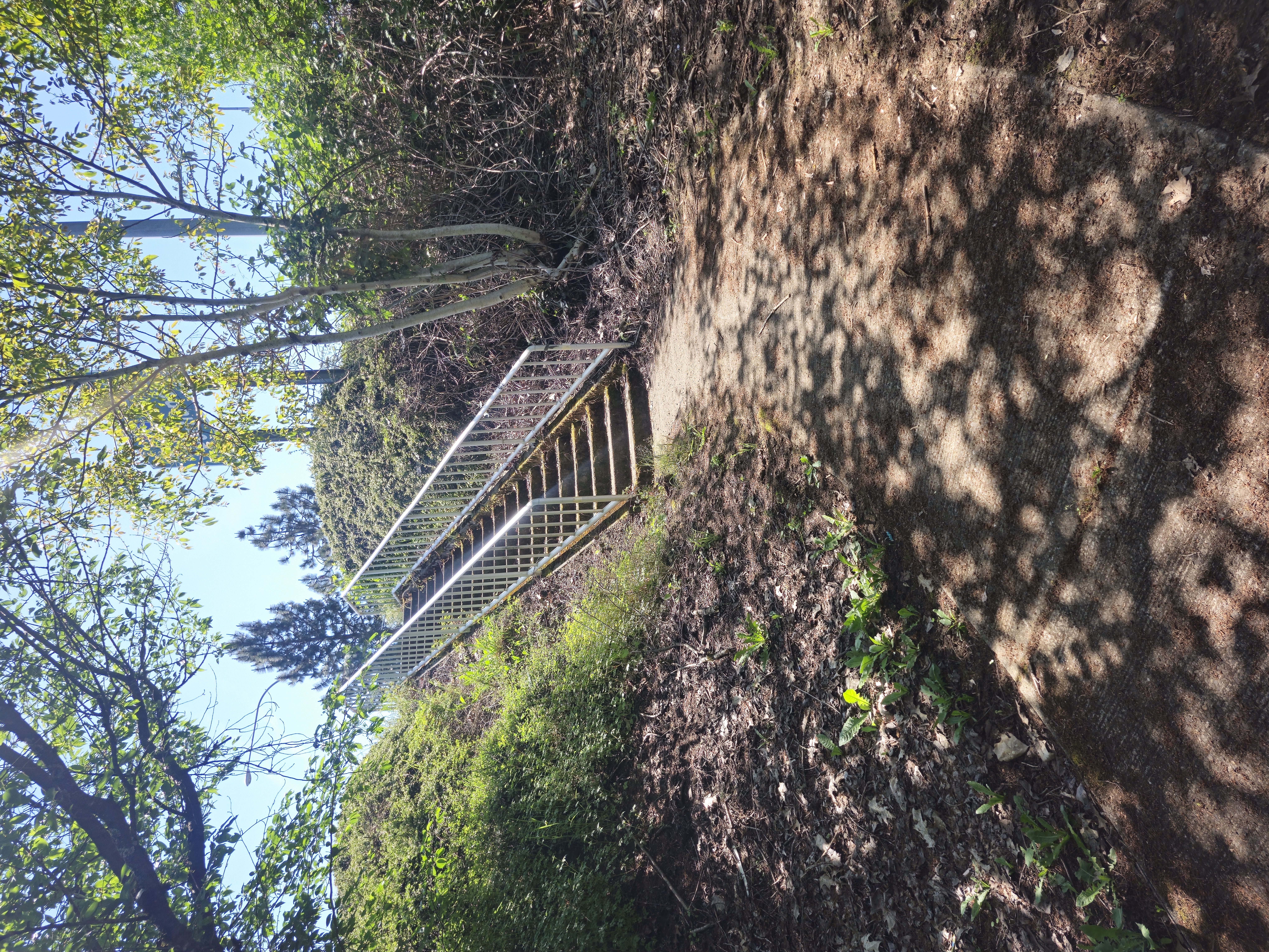 Cherry rail image