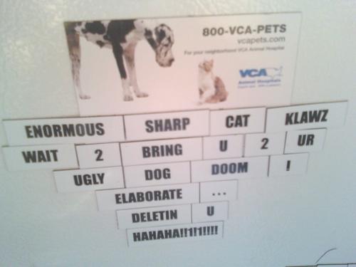 Dog Doom